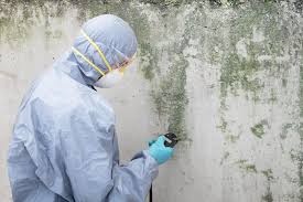 Mold Removal for HVAC Installations in White Oak, MS